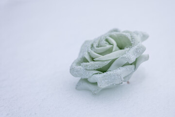 Mint green decorative rose with fine crystals on snow. Minimal winter still life with copy space, suitable for fairy tale themes, winter weddings, Christmas design and holiday backgrounds.