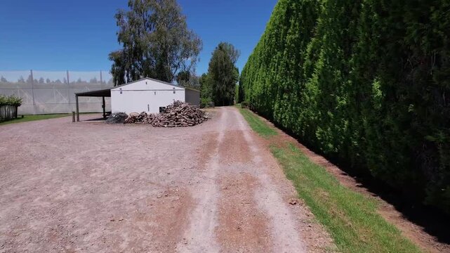 Aerial dolly along gravel path between orchard shed and tall hedge inside active kiwi plantation area