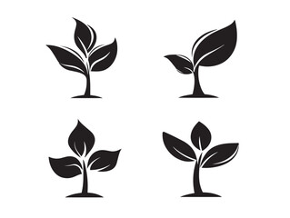 A lovely collection of four elegant solid black sprout plant graphics