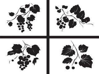 Naklejka premium A beautiful collection of four elegant solid black climbing vine graphics