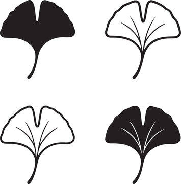 Isolated ginkgo leaf icon, ginkgo biloba fan leaf tree botanical silhouette, ginkgo nature vector illustration, minimal botanical design, isolated ginkgo leaf design