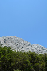 The rocky peak of Sveti Ilija mountain on the Peljesac peninsula towers over a lush green forest under a clear blue sky in Croatia