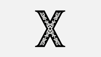 Obraz premium Large decorative letter X symbol.