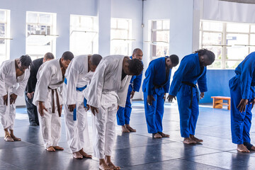 Diverse martial arts students bowing on padded mats at training hall in gis with belts
