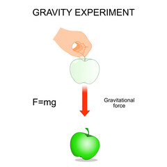 Newton&rsquo;s apple and the law of gravity. Physics experiment. Explaining gravitational theory.