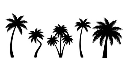 Fototapeta premium Tropical Palm Tree Silhouette Vector