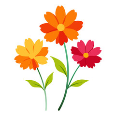 Fototapeta premium coreopsis golden joy colorful on white backbround