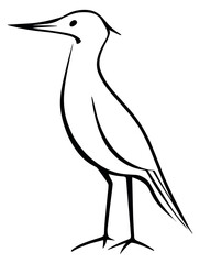 Obraz premium Hand drawn line art illustration of a bird depicting a standing profile for nature and animal themes