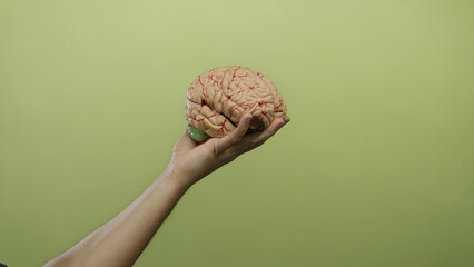 Man holding brain model against yellow wall illustrates anatomy and education concept vividly highlighting neuroscience theme with isolated hand on green background.