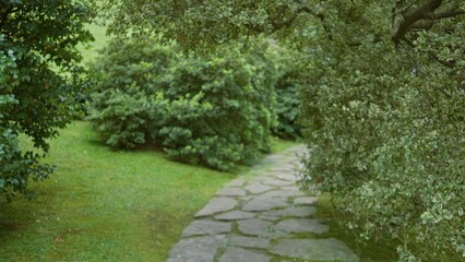 Stone flagstone path winding through a leafy green garden with soft defocused bokeh background; background backplate copyspace calm.
