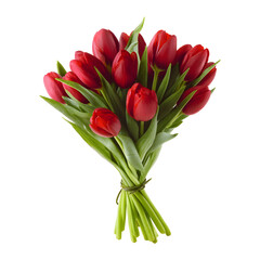 Bouquet of red tulips flowers, isolated on transparent background
