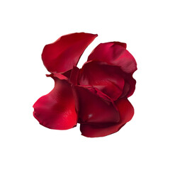 Cluster of red rose petals, isolated on transparent background