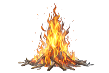 Burning fire with wooden logs on white isolated on a transparent background flames