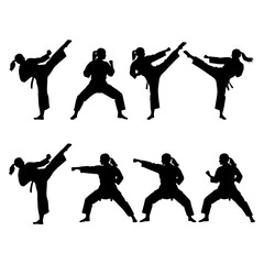 Fototapeta premium Karate Stance Training