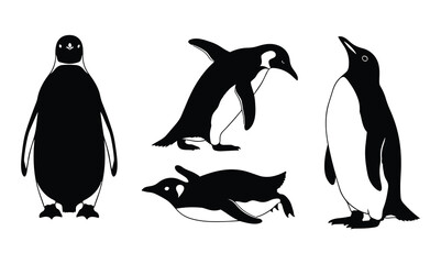 Obraz premium Stylized black and white penguin art in walking, sliding, resting, and expressive arctic bird poses