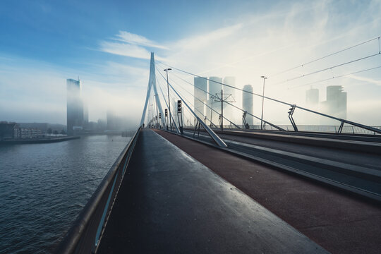 Erasmus Bridge in Rotterdam