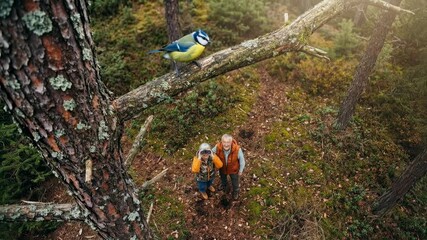 Playful outdoor hiking scene with child and adult exploring woodland terrain together expressing family adventure curiosity learning and joyful discovery in nature