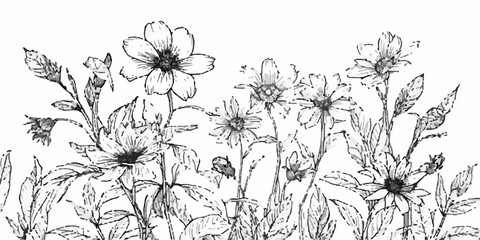 Seamless floral vector illustration of a vintage nature pattern featuring a set of flowers and grass in a decorative summer blossom design for wedding wallpaper