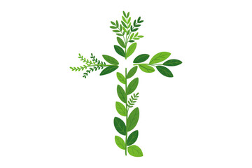 Green Leafy Cross leaves plant nature isolated on a transparent background