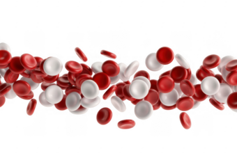 Red and White Cells red cells medical healthcare isolated on a transparent background