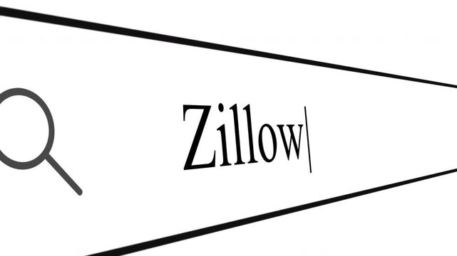 User types in the address bar to search for property details. The close-up shows the search box clearly and highlights the specific queries made.
