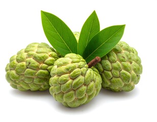 Fototapeta premium Group of light green fruit with leaves against white backdrop