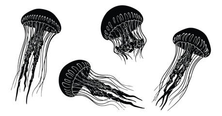 jellyfish silhouette set with long tentacles for marine nature art © Pemarathna