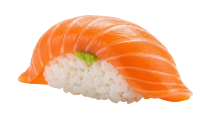 Isolated nigiri sushi roll with salmon and rice, healthy Japanese food ingredient snack dish