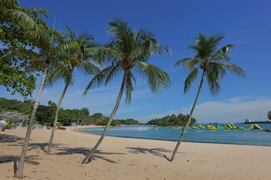 Playa tropical palmeras arena agua azul tur&iacute;quesa paraiso