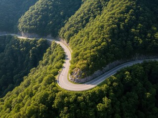 Winding mountain road through lush green forest hillside