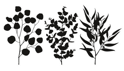 Eucalyptus branches silhouettes vector set © Marina Gorskaya