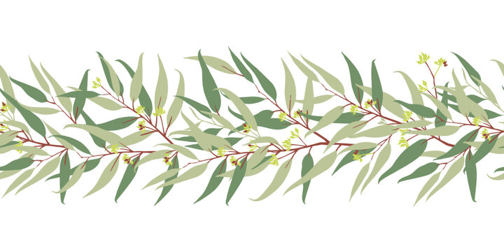 Eucalyptus horizontal seamless border vector