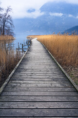 Nature and views of Lake Cavazzo in winter. Friuli.