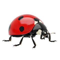 Fototapeta premium Detailed close-up of a red spotted ladybug beetle isolated on a pure white background.