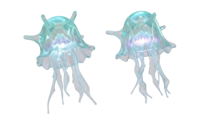 Isolated Jellyfish Pair with Luminescent Coloring, Marine Animals with Delicate Tentacles