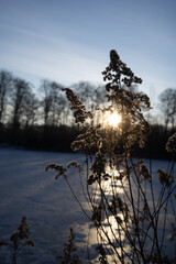 Region Teutoburger Wald