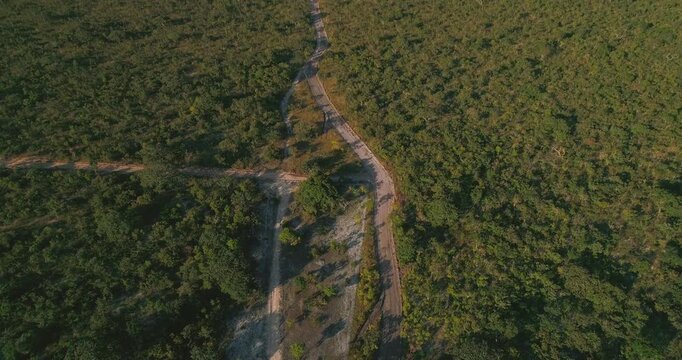 Tilting drone discovers hydrological signature: dark perennial groundwater pockets visible within exposed Cerrado dry riverbed alluvium, revealing subsurface moisture amid surrounding dense savanna.