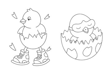Obraz premium Cute Chick Hatching From Egg Line Art, Cartoon Bird Illustration For Kids Coloring Pages