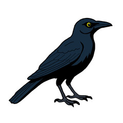 Fototapeta premium crow on a branch