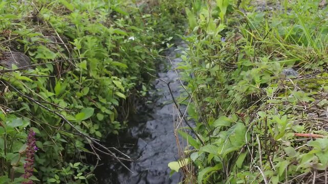 The ripples of water in an irrigation channel
