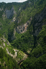 Mountain river in the valley