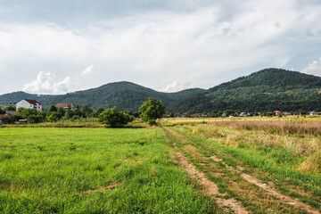 Summer mountains on a bright summer day landscape.