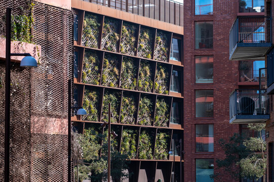 Sustainable modern urban apartments with architecture building facade and greenery plus repeating windows creating textured housing in copenhagen