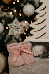 Small knitted pink baby shoes stand next to Christmas toys on the background of a Christmas tree in a photo studio for shooting a pregnant woman