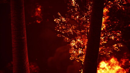 Flames engulf a dense forest, illuminating the dark sky with bright orange and red hues. The trees stand tall, consumed by fire, creating a dramatic scene of destruction.