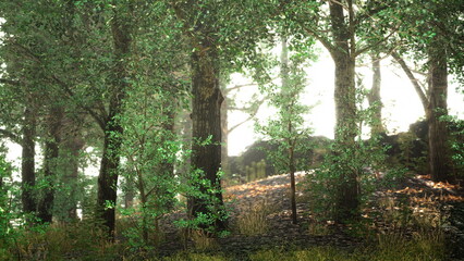 Fototapeta premium Sunlight gently streams through vibrant green leaves, illuminating a tranquil forest path. Tall trees create a peaceful atmosphere filled with soft rustling leaves and wild undergrowth.