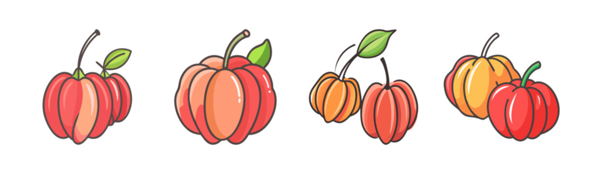 Surinam cherries with leaves, ripe red and orange fruits, isolated vector.