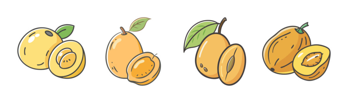 Hand drawn vector illustration of marula fruit, whole and halved
