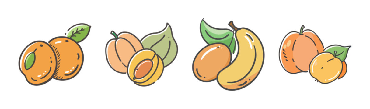 Assorted nance fruits, whole and halved, with leaves, vector illustration