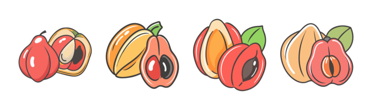 Assorted ackee fruits, whole and halved, with leaves, vector illustration